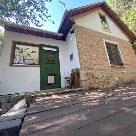 Rustic Cottage & Garden Retreat On Buda Hilltop Будапеща Екстериор снимка